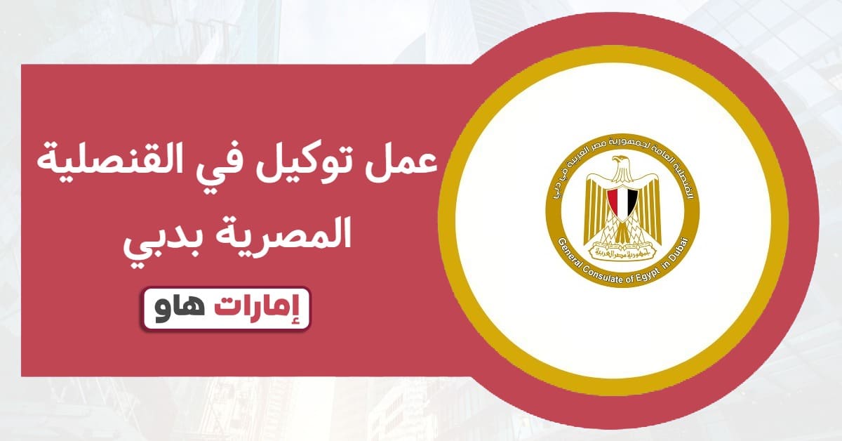 عمل توكيل في القنصلية المصرية بدبي 2026: الإجراءات بالتفصيل